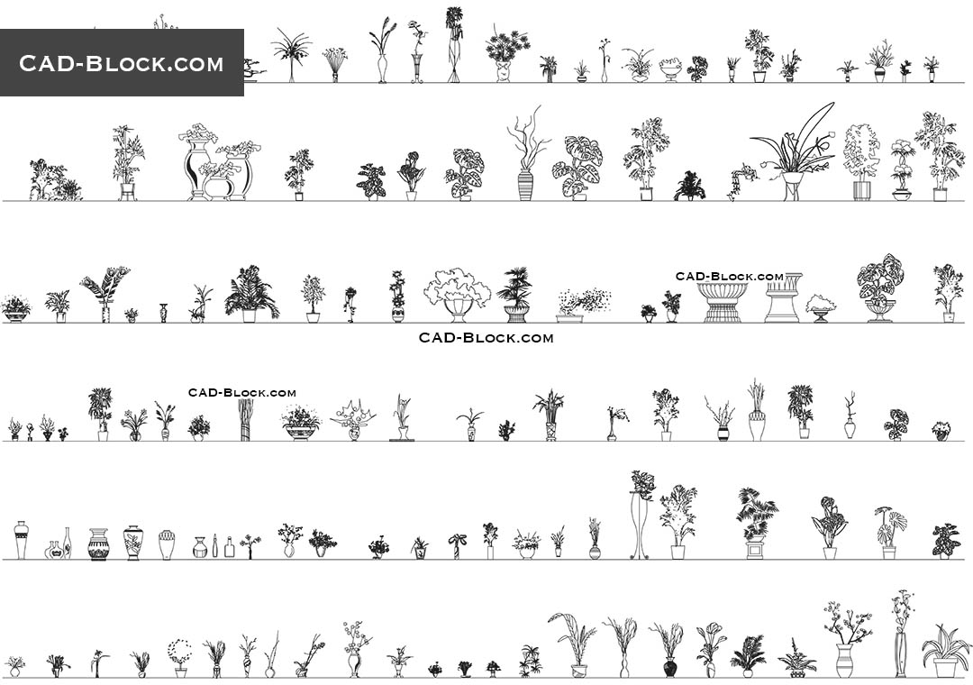 Cad Blocks Plants Elevation