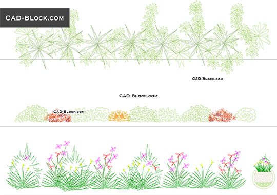 Plants - download vector illustration