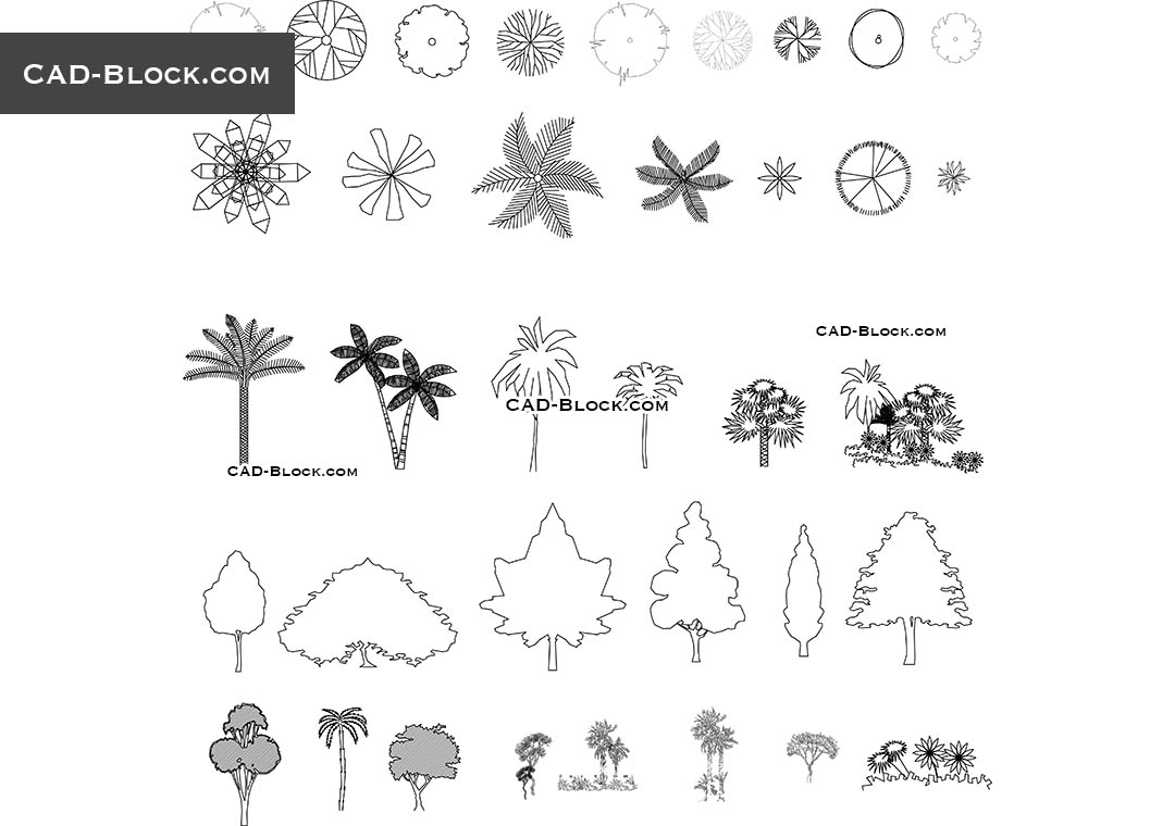 Trees in plan and elevation CAD Blocks