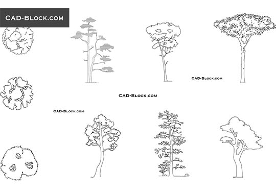 Pine Tree - download free CAD Block