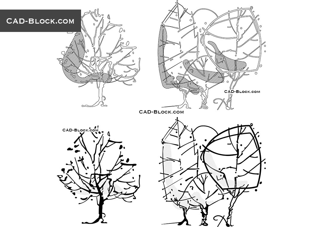 Freehand Sketch of Tree Elevation - CAD Blocks, AutoCAD file