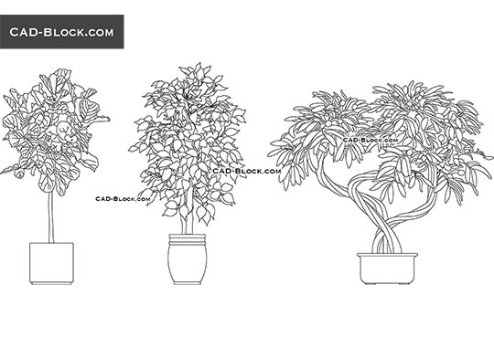 Indoor Tree - download vector illustration