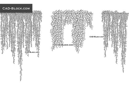 Hanging Plant - download vector illustration