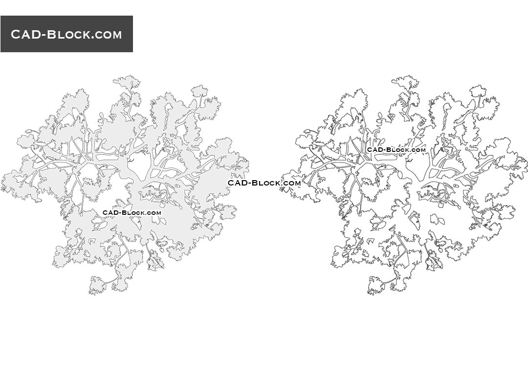 tree plan autocad