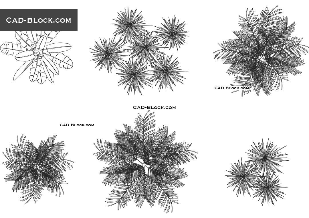 Palm Tree Top View - CAD Blocks, AutoCAD file