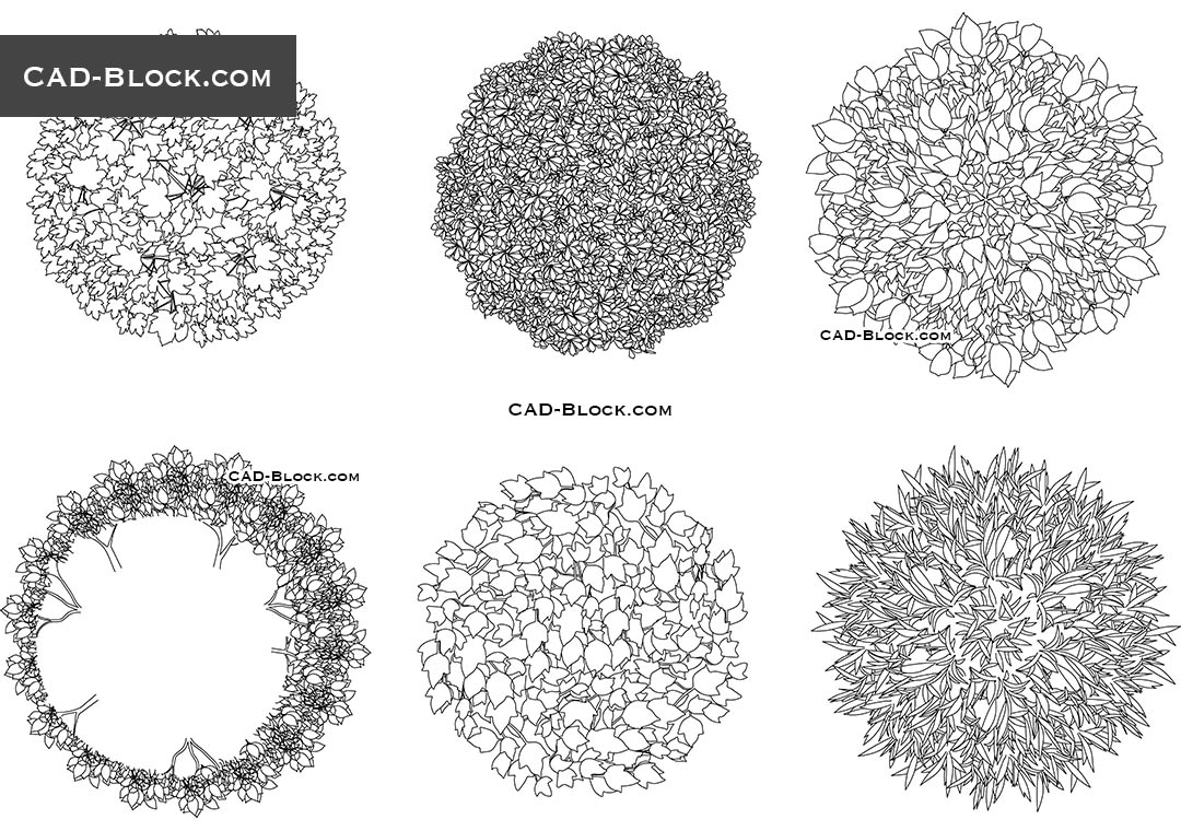 Trees In Plan View Vegetation Cad Blocks Download Free AutoCAD Models