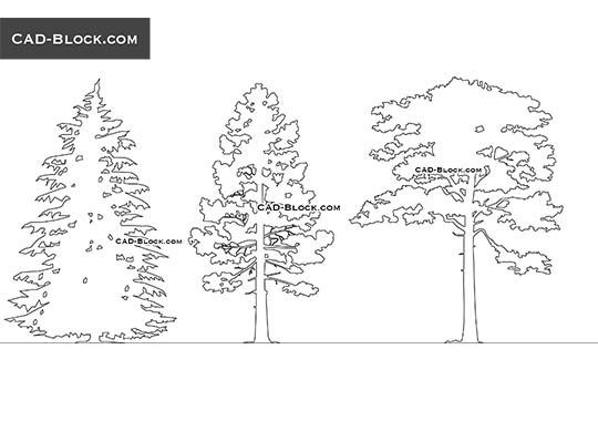 Pine Elevation - free CAD file