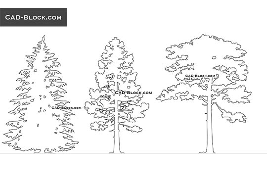 Pine Elevation - download vector illustration