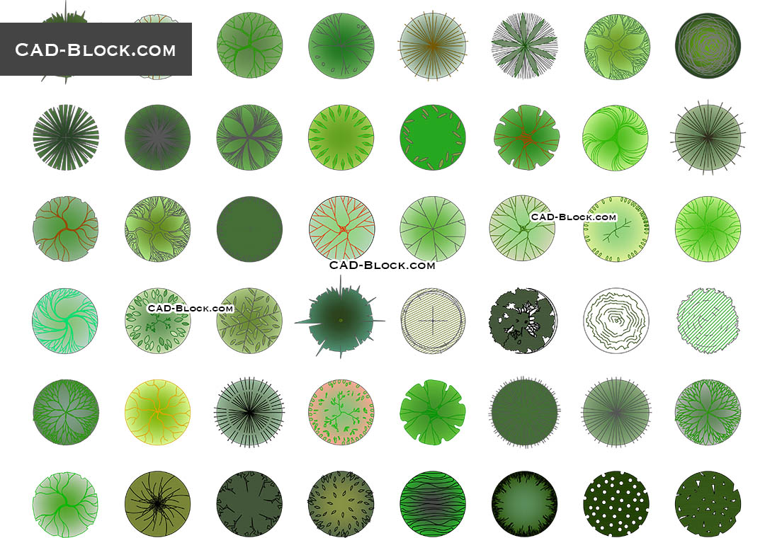 multistem tree cad block free download