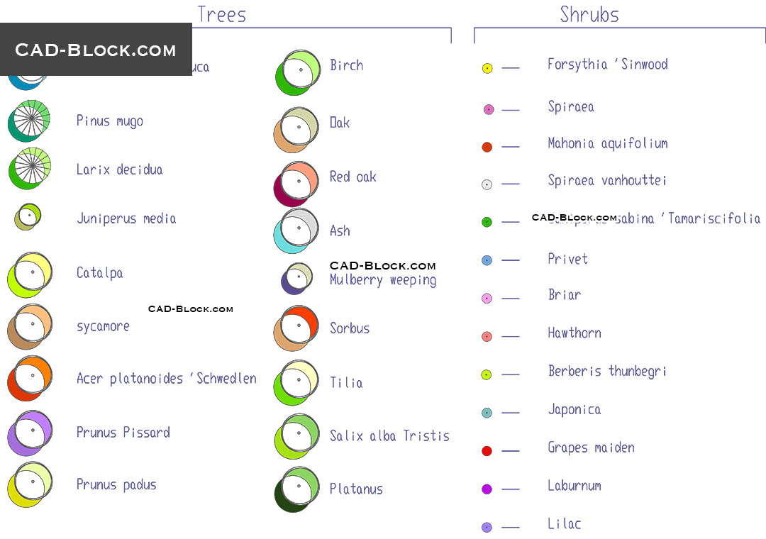 Symbols of Trees & Shrubs - CAD Blocks, AutoCAD file