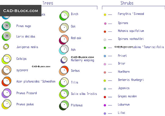 Symbols of Trees & Shrubs - download free CAD Block