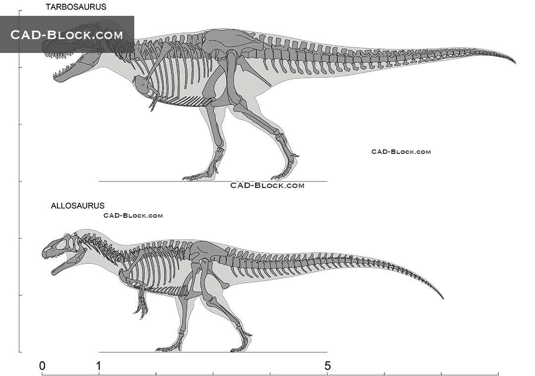 Tarbosaurus, Allosaurus 2D AutoCAD drawings, DWG blocks