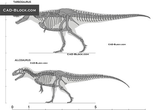 Dinosaur - download vector illustration