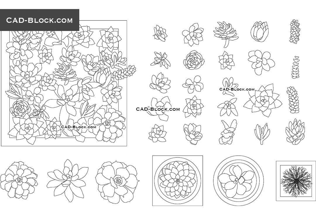 Small Ornamental Plants - CAD Blocks, AutoCAD file