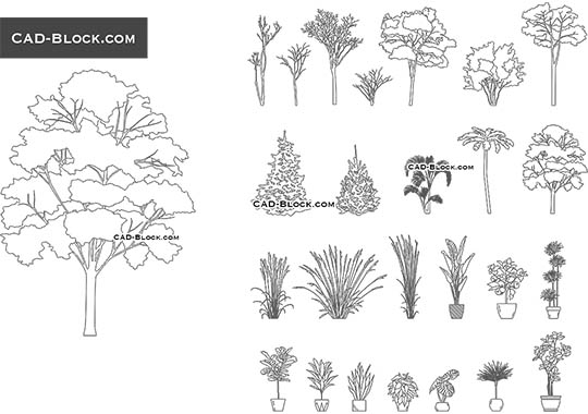 Indoor & Outdoor Plants - free CAD file