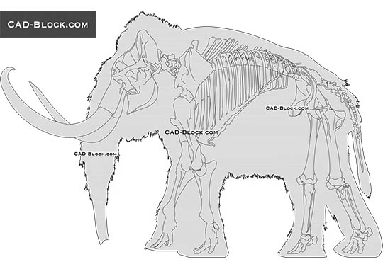 Mammoth - download vector illustration