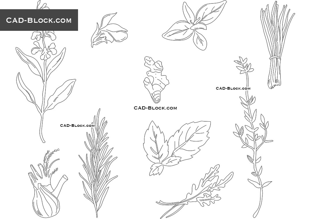 Culinary Herbs - CAD Blocks, AutoCAD file
