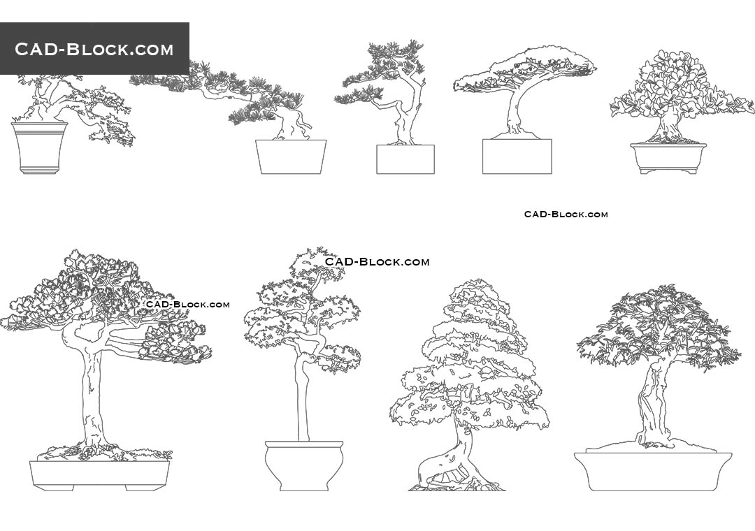Bonsai Trees - CAD Blocks, AutoCAD file