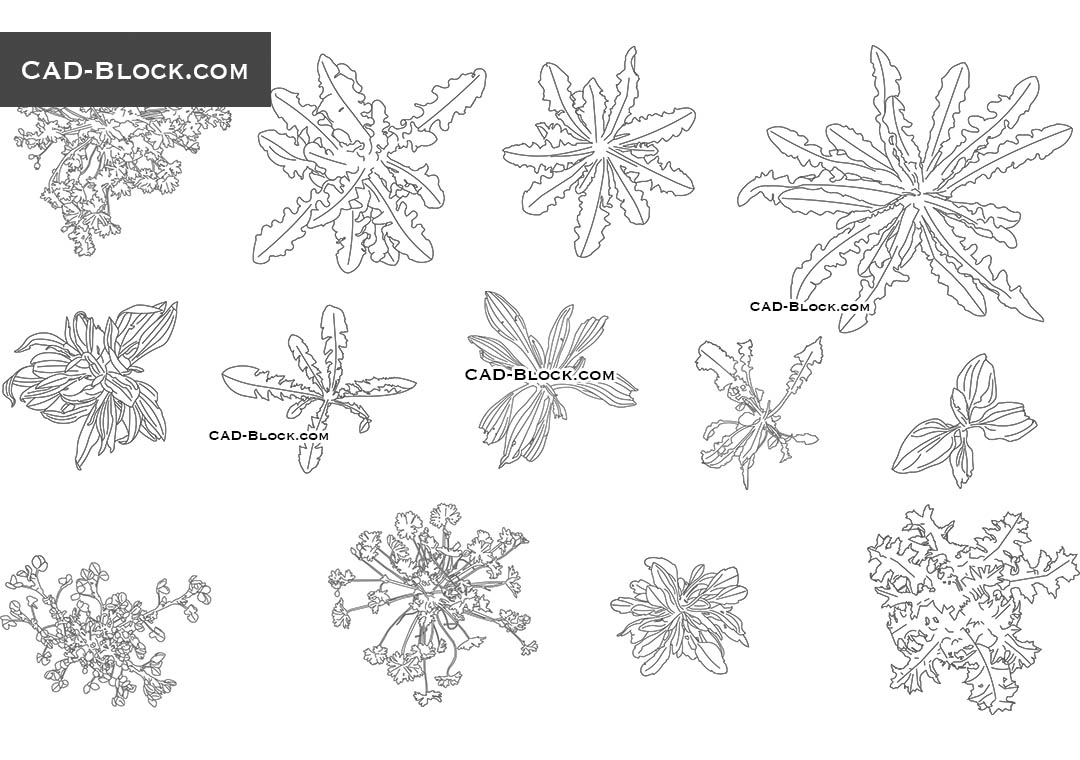 Herbaceous Plants - CAD Blocks, AutoCAD file